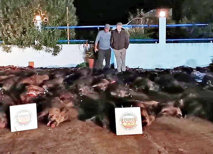 Resultado Montería Rodilla 2025 Entre Amigos